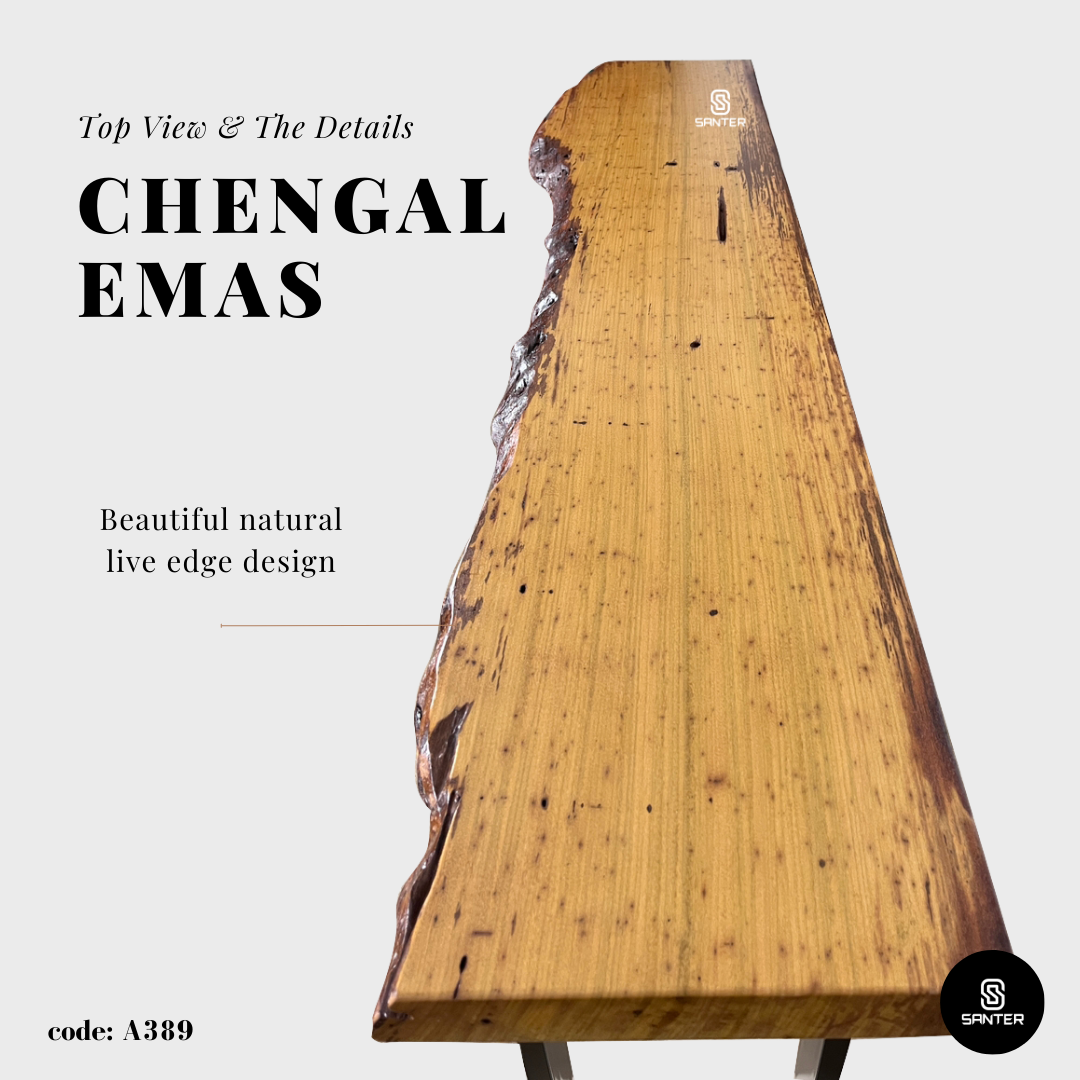 A389. Chengal Emas Solid Wood Rustic Bar Table / Console Table