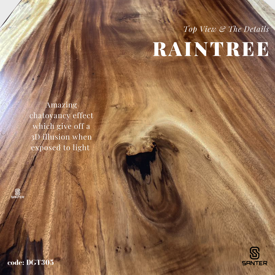 DGT305. Raintree Solid Wood Dining Table (6 to 8 seater)