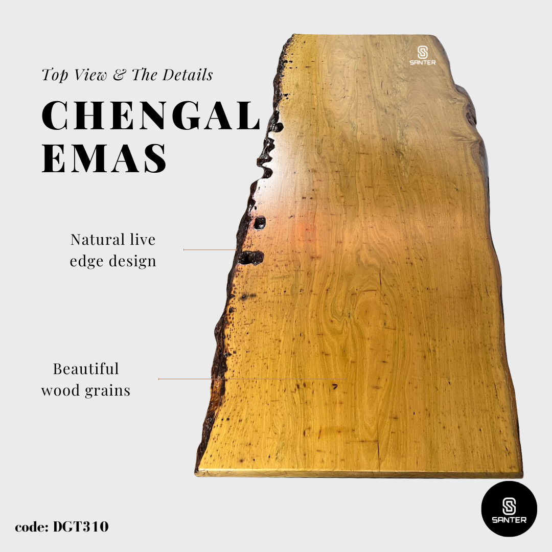 DGT310. Chengal Emas Solid Wood Dining Table / Conference Table (8 to 10 seater)