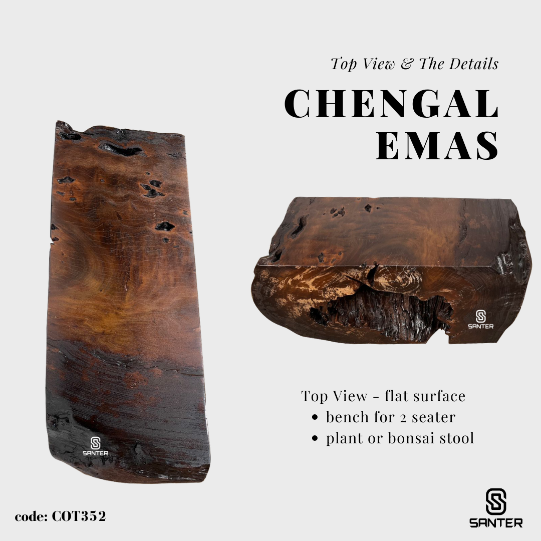 COT352. Chengal Emas Artistic Wood Pedestal/ Stump/ Bench/ Coffee Table