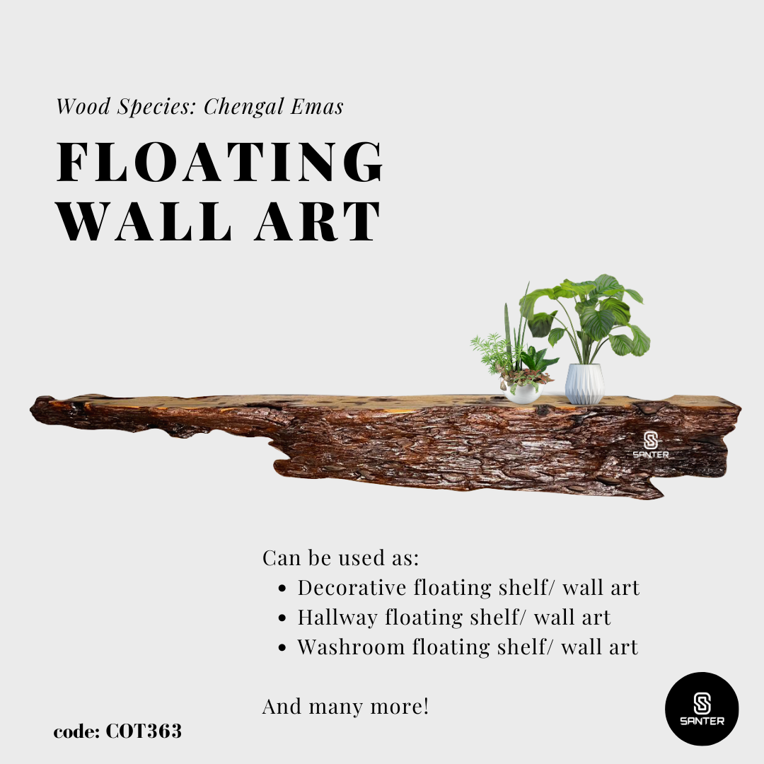 COT363. Chengal Emas Live Edge Floating Wall Shelf / Wall Art