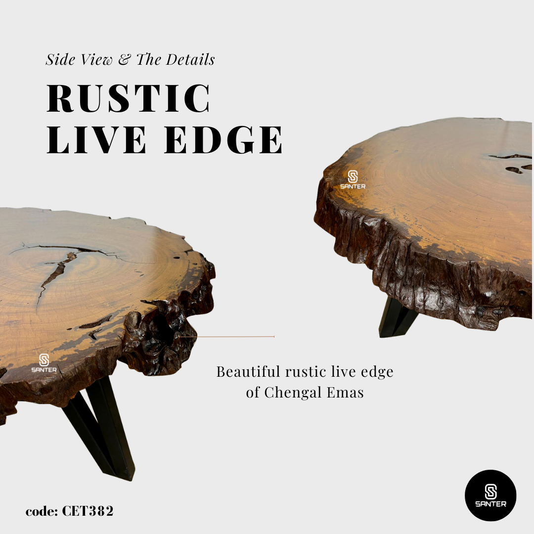 CET382. Chengal Emas Solid Wood Rustic Coffee Table