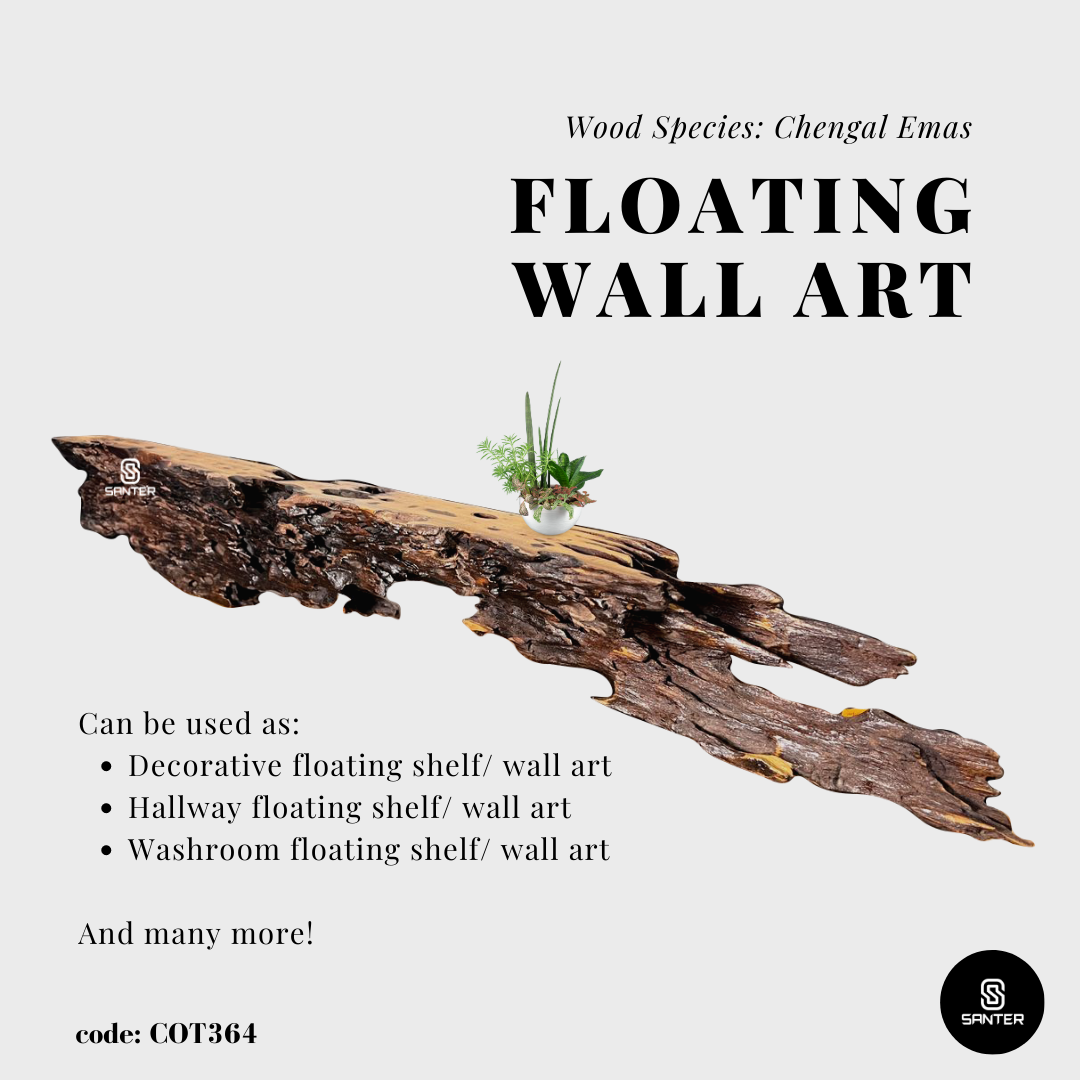 COT364. Chengal Emas Live Edge Floating Wall Shelf / Wall Art