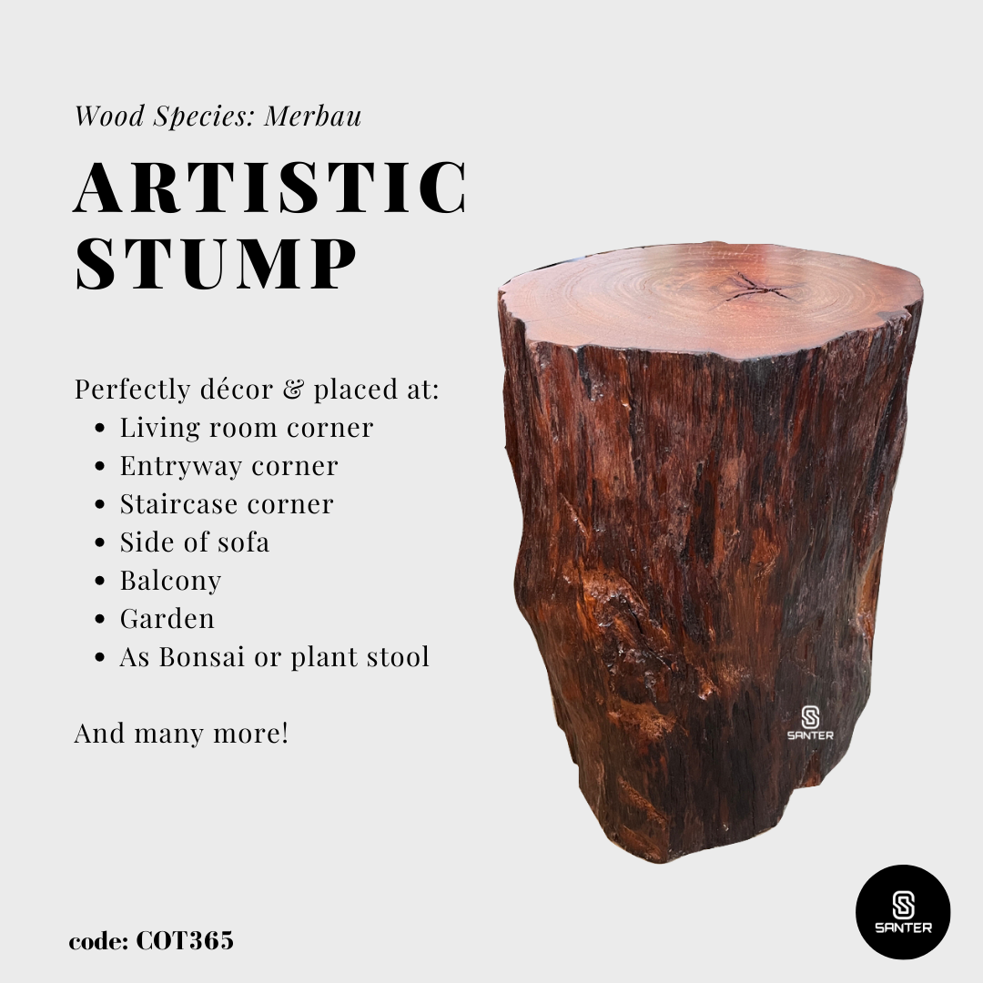 COT365. Merbau Artistic Wood Pedestal/ Stump/ Side Table/ Stool
