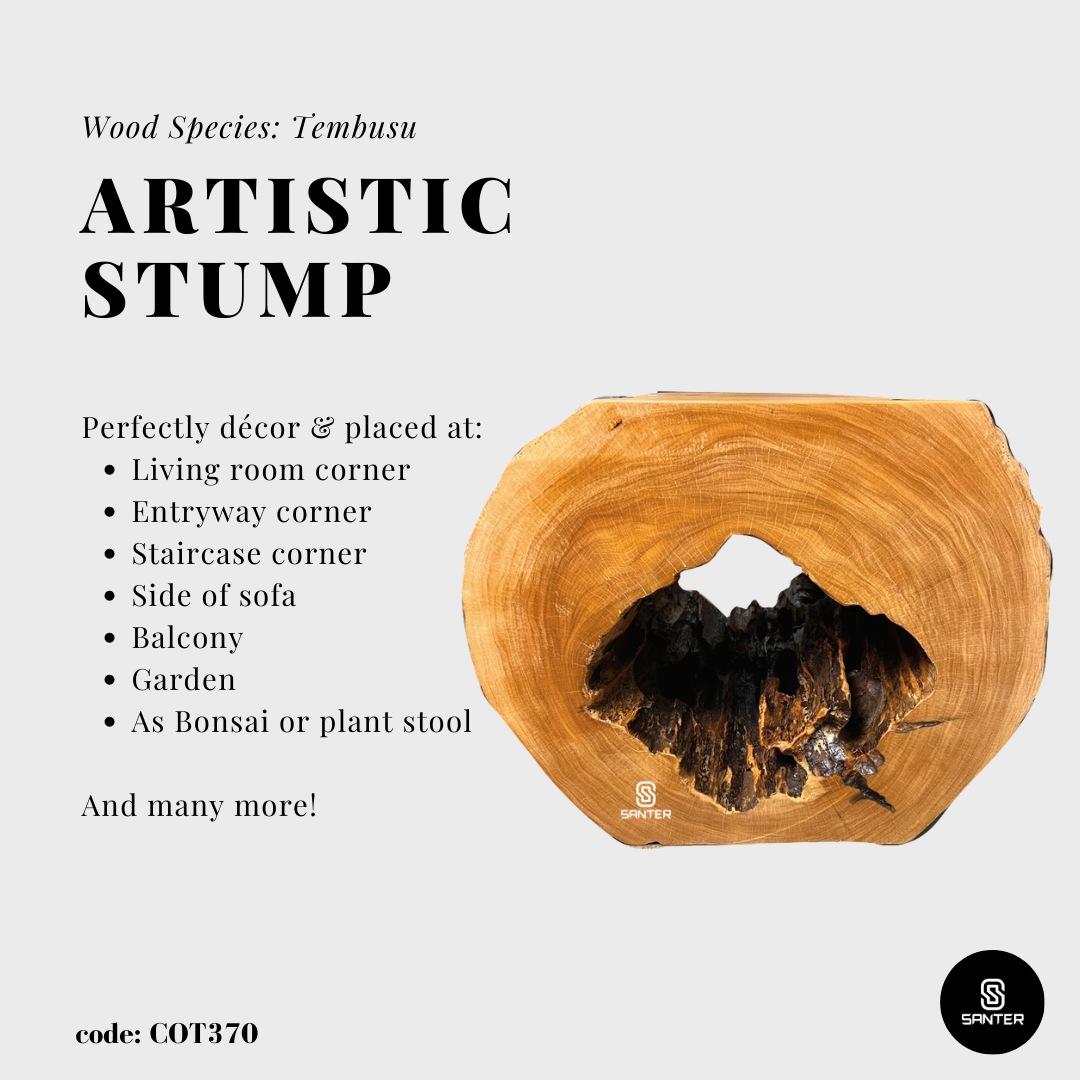COT370. Tembusu Artistic Wood Pedestal/ Stump/ Side Table/ Stool