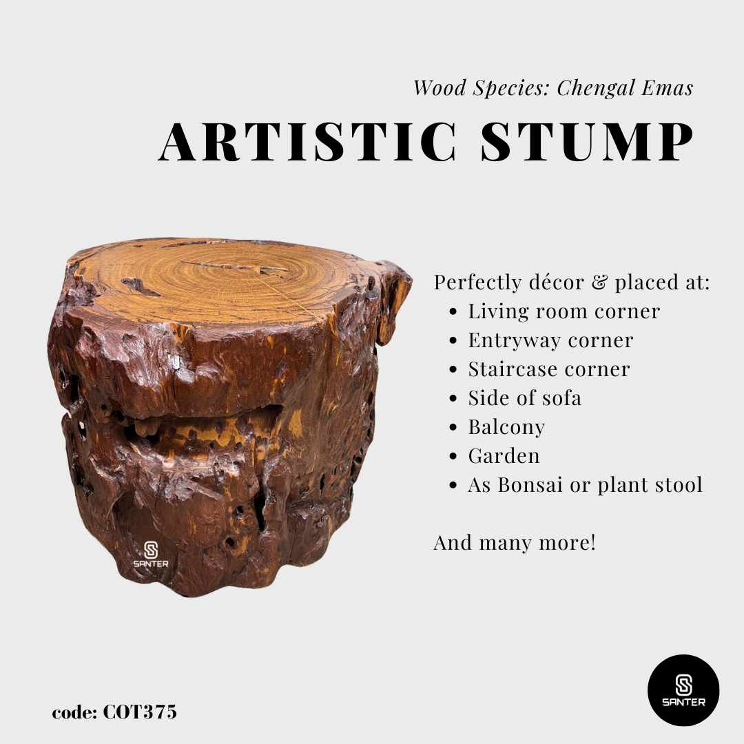 COT375. Chengal Emas Artistic Wood Pedestal/ Stump/ Side Table