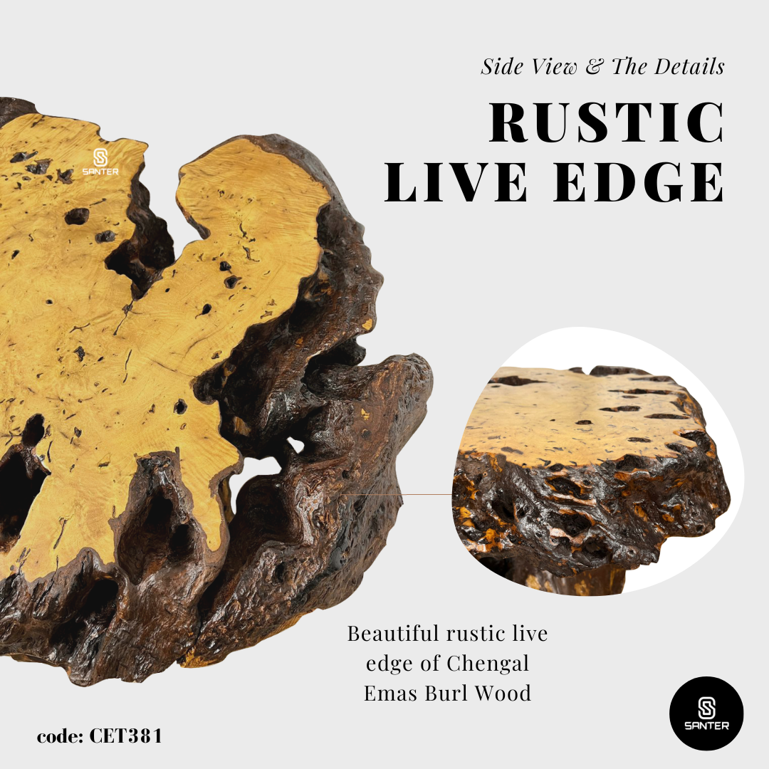 CET381. Chengal Emas Solid Wood Coffee Table/ Tea Table (Burl Wood)