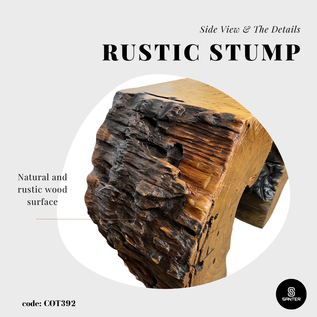 COT392. Chengal Emas Artistic Wood Pedestal/ Stump/ Side Table/ Stool