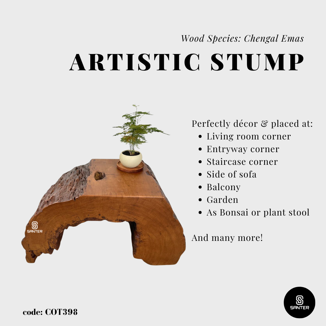 COT398. Chengal Emas Artistic Wood Pedestal/ Stump/ Side Table/ Stool