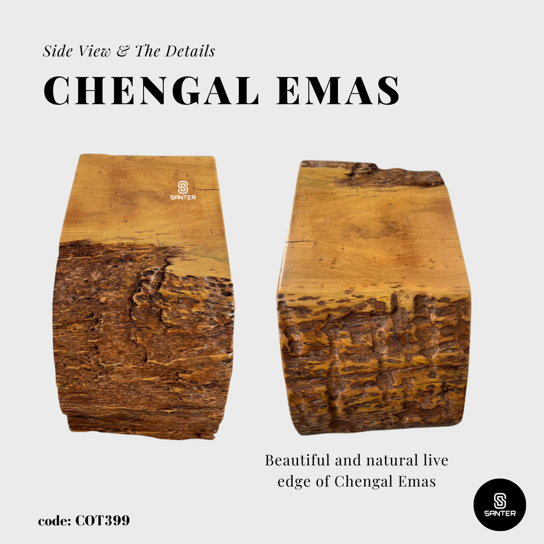 COT399. Chengal Emas Artistic Wood Pedestal/ Stump/ Side Table/ Stool