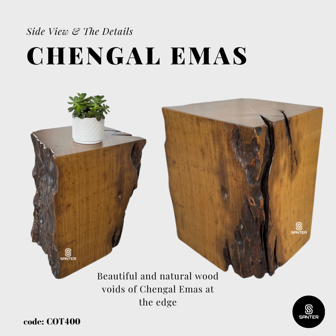 COT400. Chengal Emas Artistic Wood Pedestal/ Stump/ Side Table/ Stool