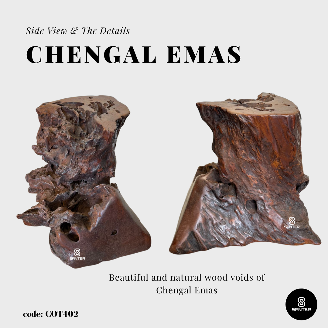 COT402. Chengal Emas Artistic Wood Pedestal/ Stump/ Side Table/ Stool