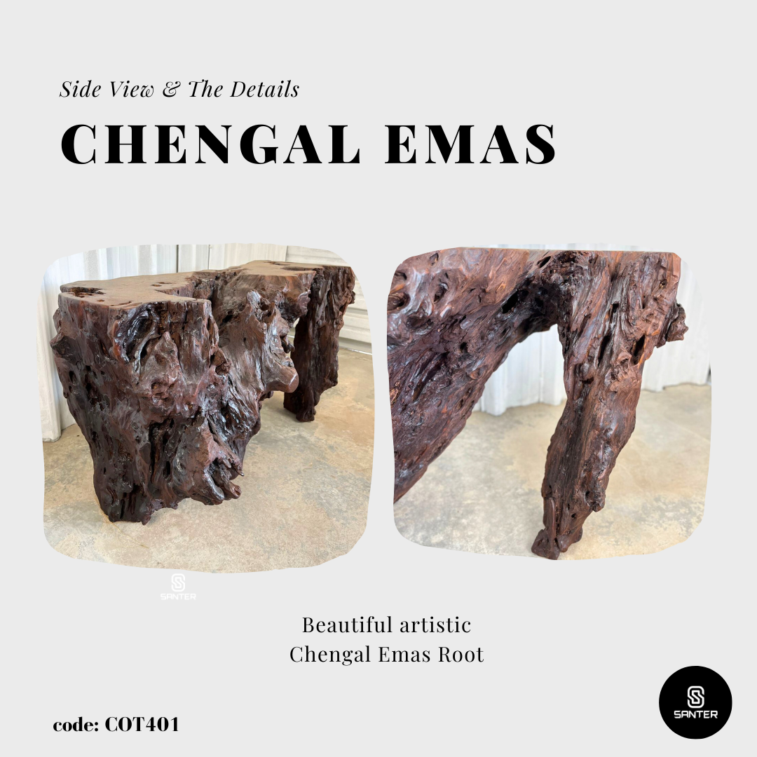 COT401. Chengal Emas Artistic Root Console / Artistic Wood Stump