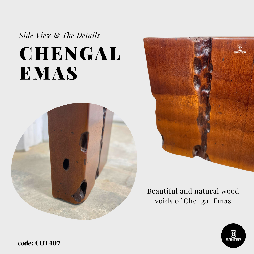 COT407. Chengal Emas Artistic Wood Pedestal / Wood Stump