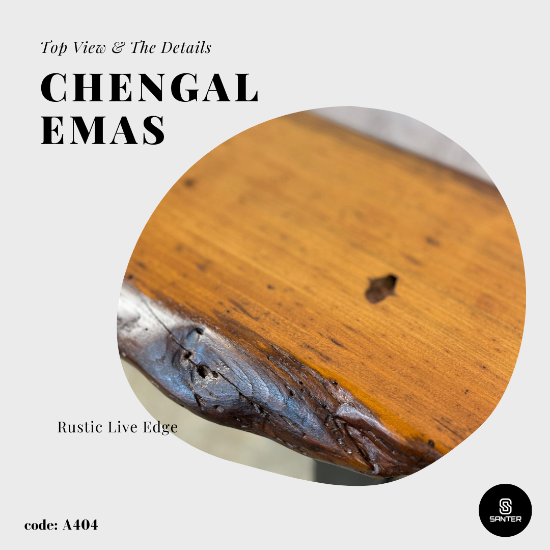 A404. Chengal Emas Solid Wood Rustic Bench / Shoe Bench