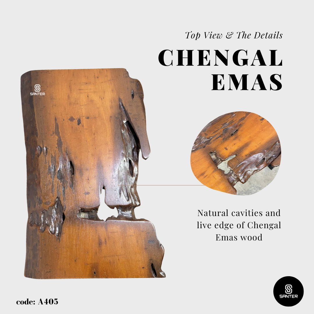 A405. Chengal Emas Solid Wood Rustic Bench / Wooden Bench