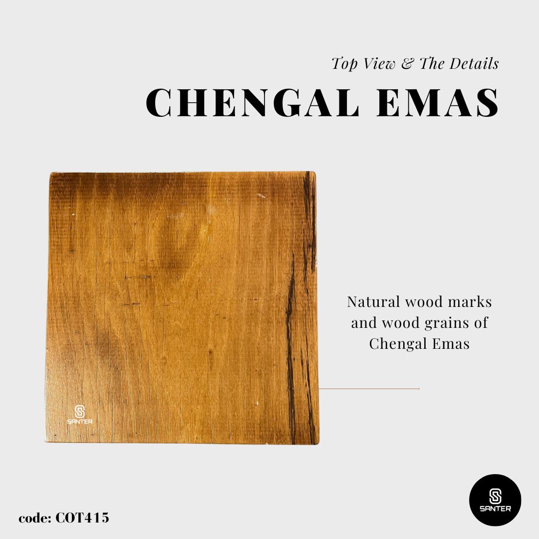 COT415. Chengal Emas Solid Wood Stool / Plant Stool / Side Table / Bedside Table / Sofa Table