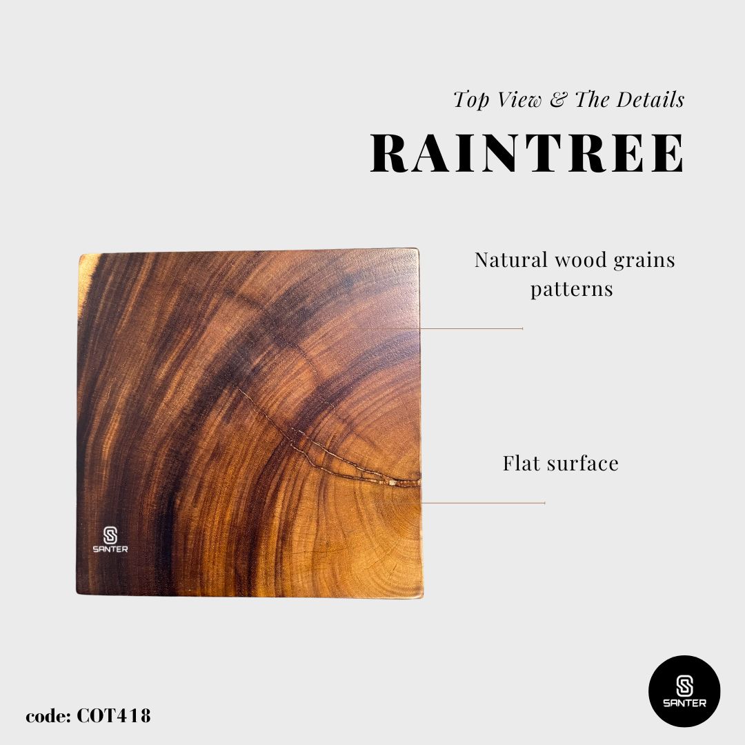 COT418. Raintree Solid Wood Pedestal/ Wooden Stump / Artistic Stump / Plant Stool / Small Stool