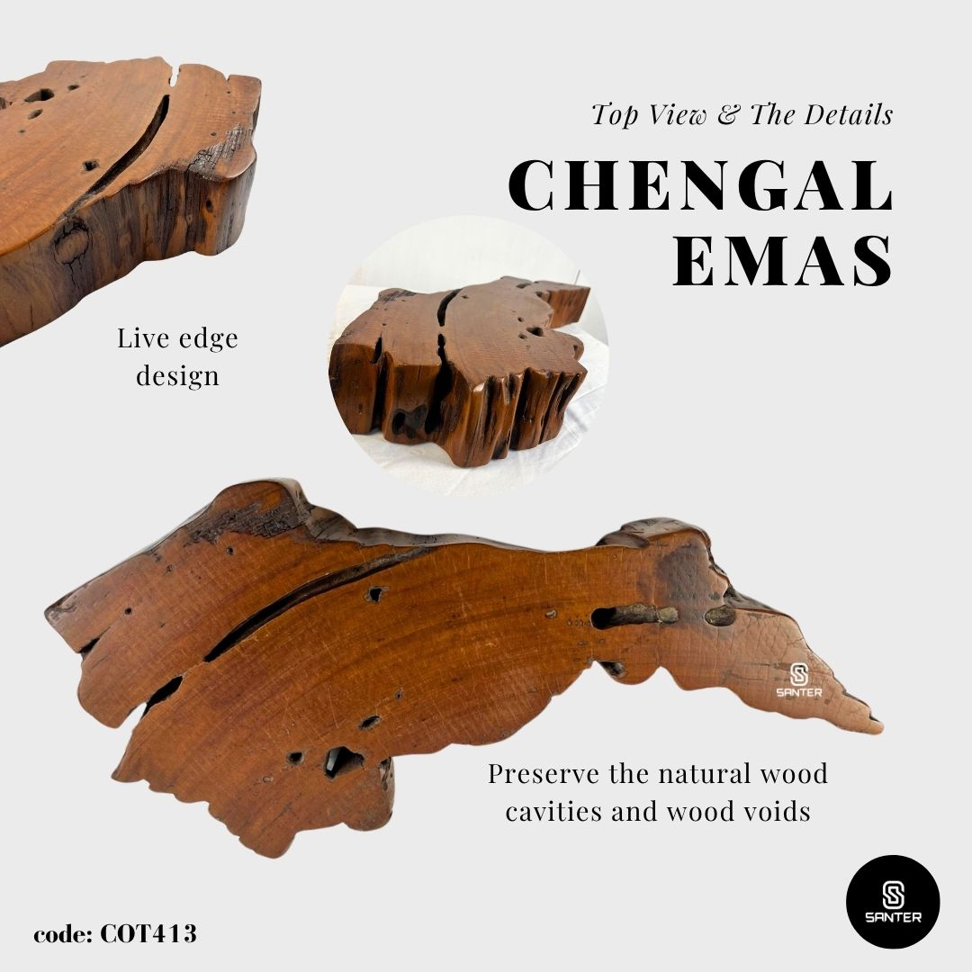 COT413. Chengal Emas Solid Wood Artistic Base / Wooden Tray / Wooden Base / Plant Tray