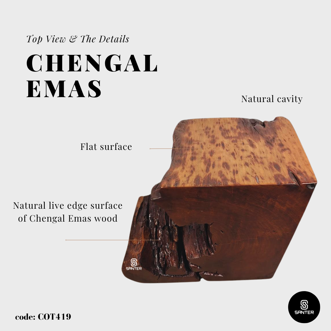 COT419. Chengal Emas Artistic Wood Pedestal/ Wooden Stump / Rustic Stump / Plant Stool