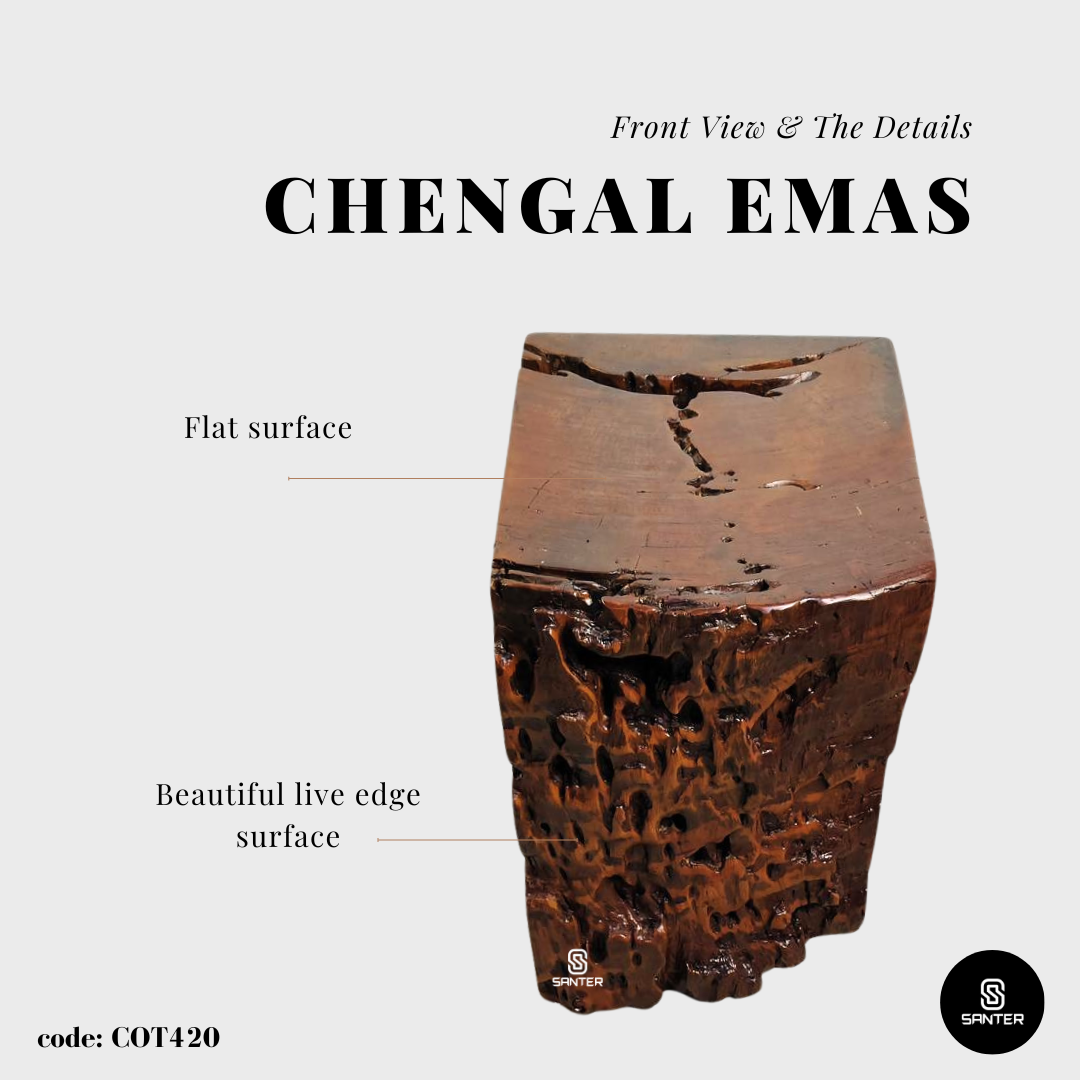 COT420. Chengal Emas Artistic Wood Pedestal/ Wooden Stump / Rustic Stump / Plant Stool