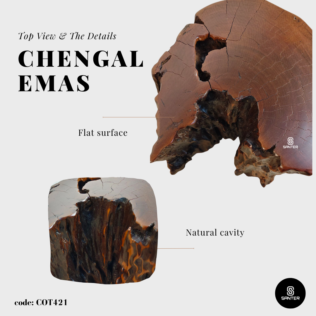 COT421. Chengal Emas Artistic Wood Pedestal/ Wooden Stump / Rustic Stump / Plant Stool