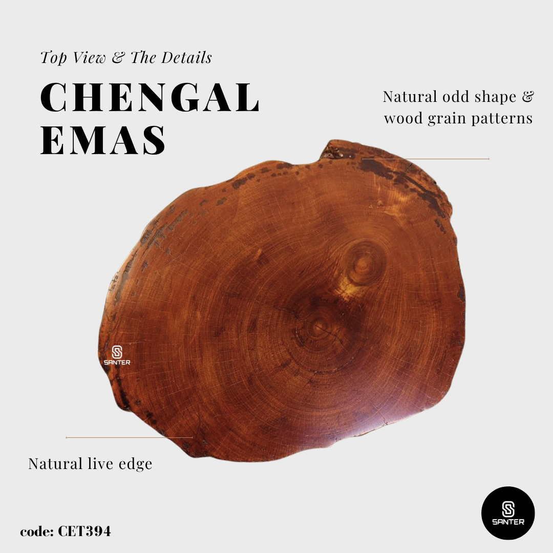 CET394. Chengal Emas Solid Wood Coffee Table / Sofa Table / Side Table