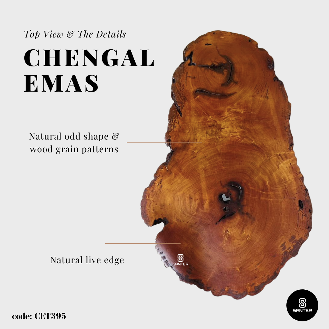 CET395. Chengal Emas Solid Wood Rustic Coffee Table / Sofa Table