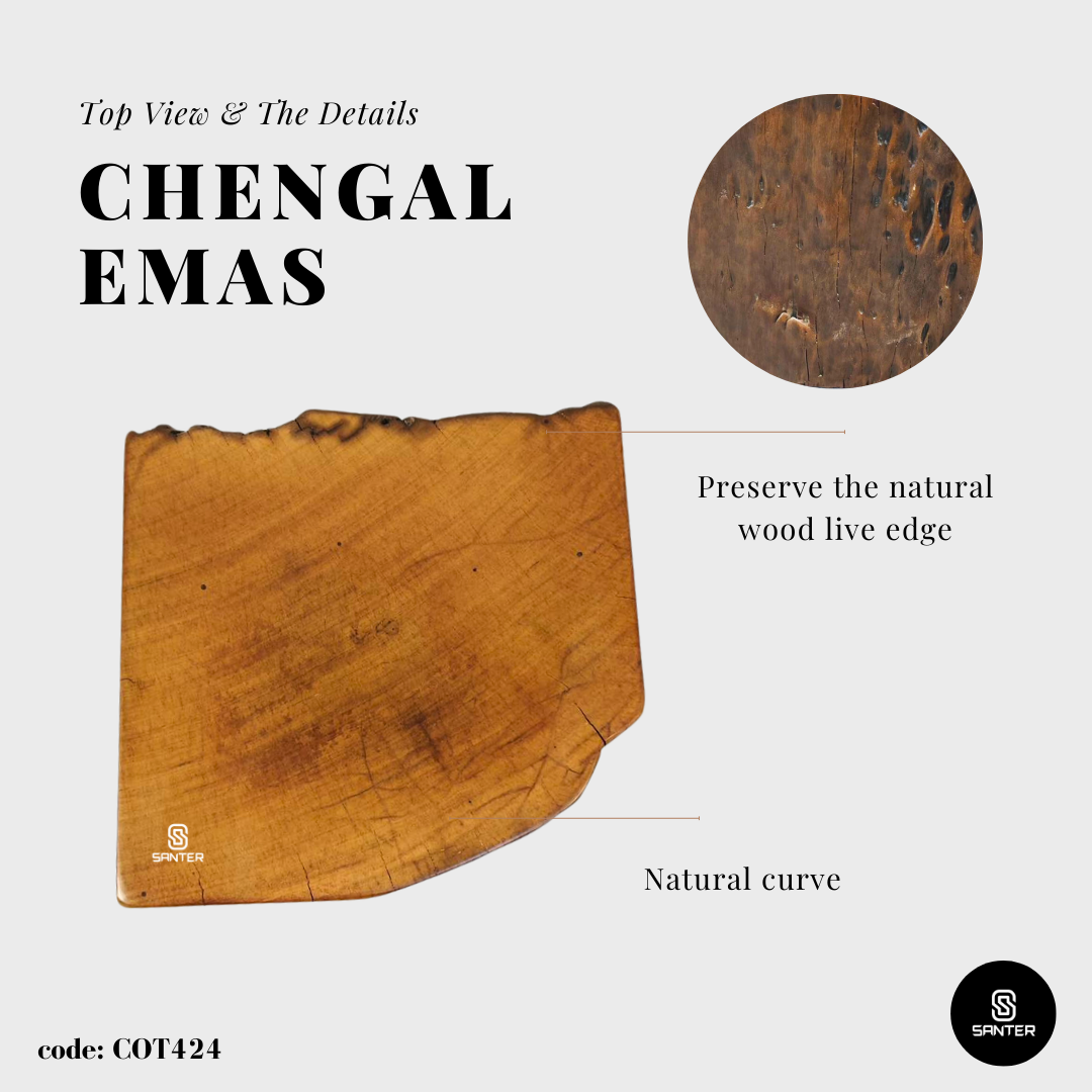 COT424. Chengal Emas Artistic Wood Pedestal/ Wooden Stump / Rustic Stump / Plant Stool