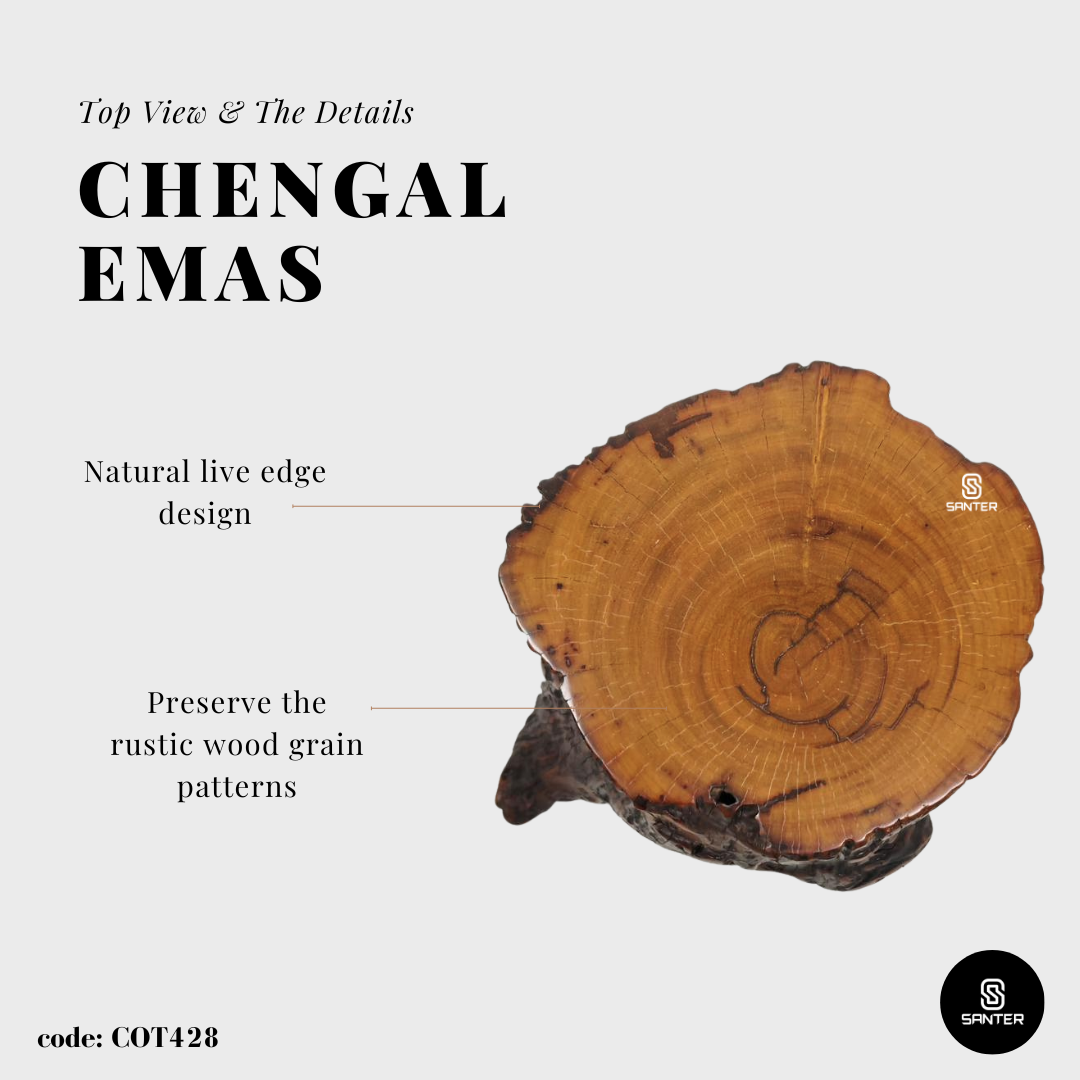 COT428. Chengal Emas Artistic Wood Pedestal/ Wooden Stump / Rustic Stump / Plant Stool