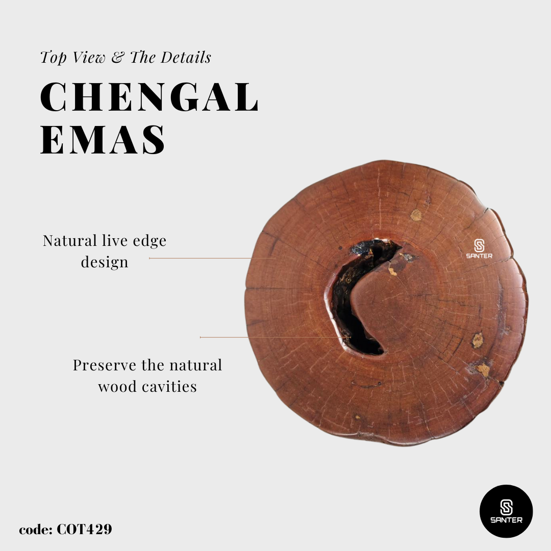 COT429. Chengal Emas Artistic Wood Pedestal/ Wooden Stump / Rustic Stump / Plant Stool