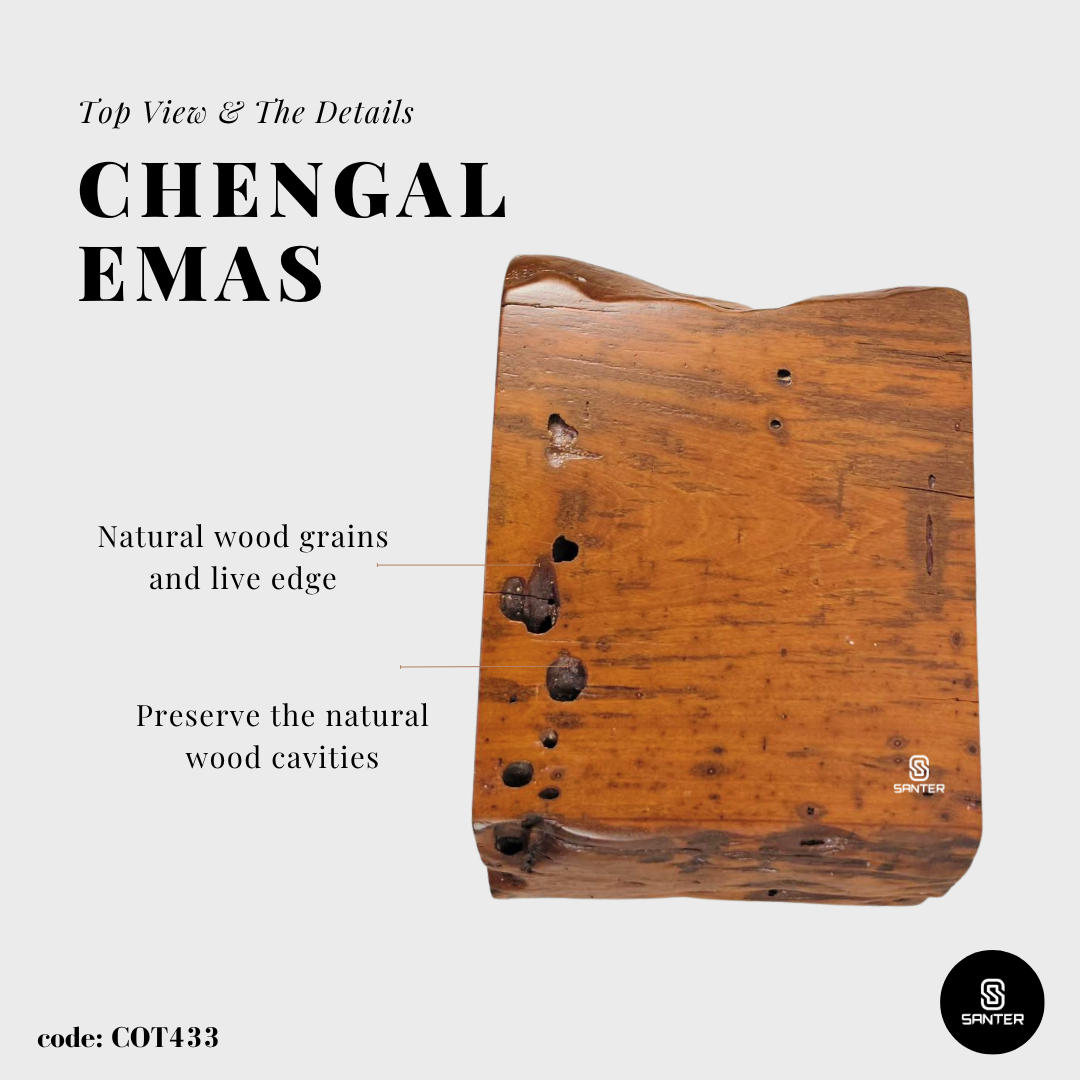 COT433. Chengal Emas Artistic Wood Pedestal/ Wooden Stump / Rustic Stump / Plant Stool