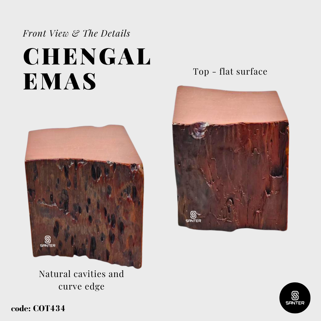 COT434. Chengal Emas Artistic Wood Pedestal/ Wooden Stump / Rustic Stump / Plant Stool