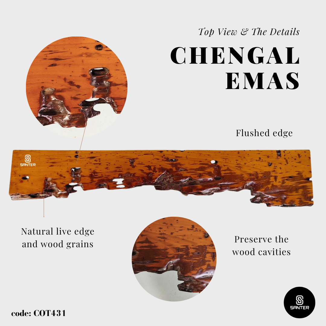 COT431. Chengal Emas Solid Wood Rustic Live Edge Floating Wall Shelf / Hanging Wall Shelf