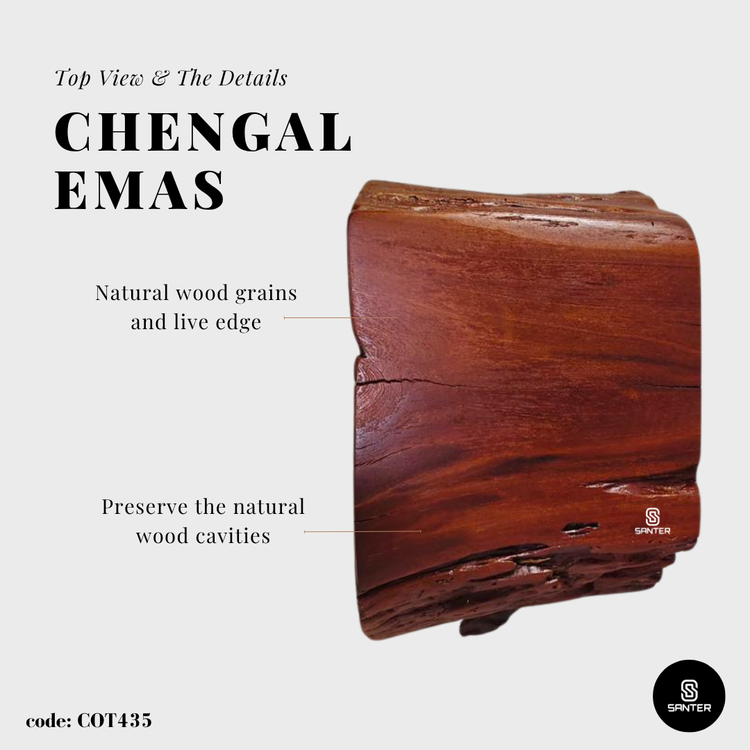 COT435. Chengal Emas Artistic Wood Pedestal/ Wooden Stump / Rustic Stump / Plant Stool