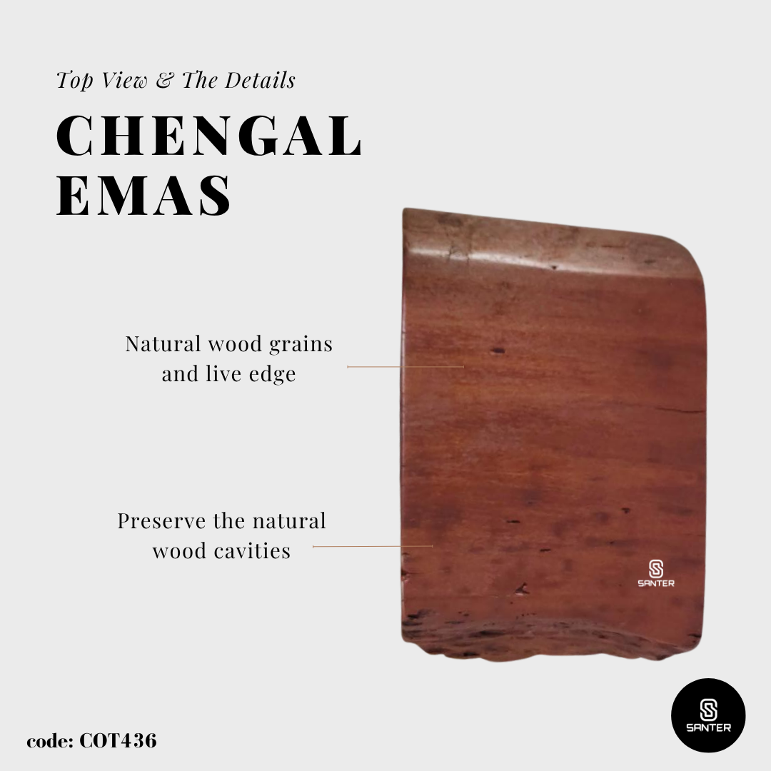 COT436. Chengal Emas Artistic Wood Pedestal/ Wooden Stump / Rustic Stump / Plant Stool
