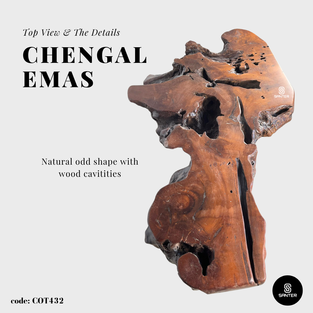 COT432. Chengal Emas Artistic Root Console / Artistic Wood Stump / Root Stump