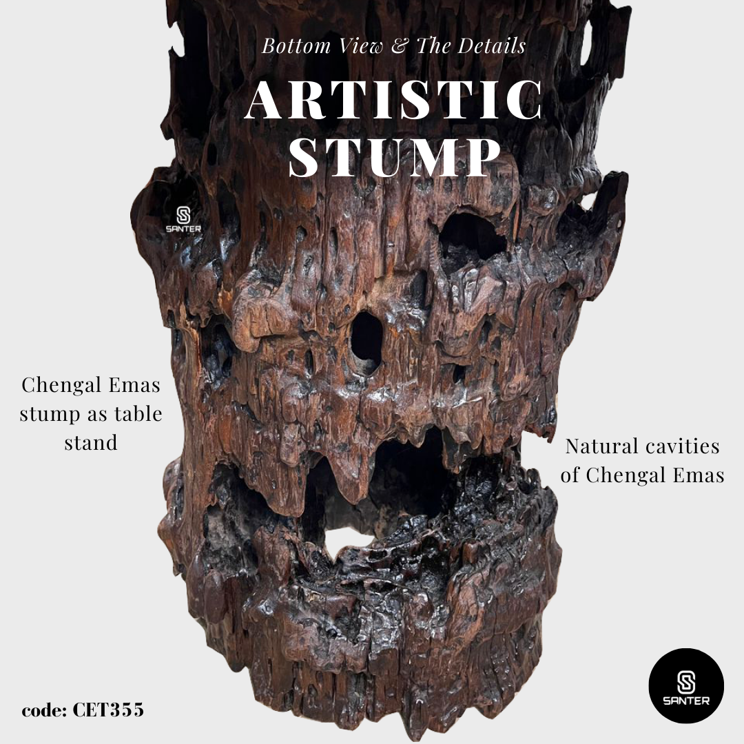 CET355. Chengal Emas Burl Wood Tea Table/ Garden Table (4 seater)