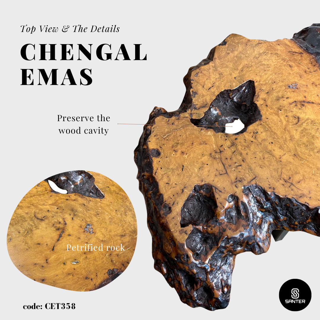 CET358. Chengal Emas Solid Wood Coffee Table/ Sofa Table (Burl Wood)