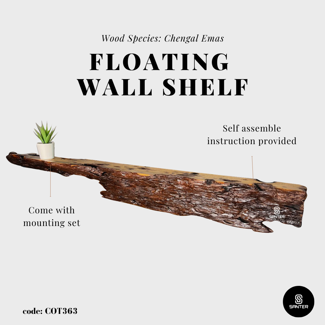 COT363. Chengal Emas Live Edge Floating Wall Shelf / Wall Art