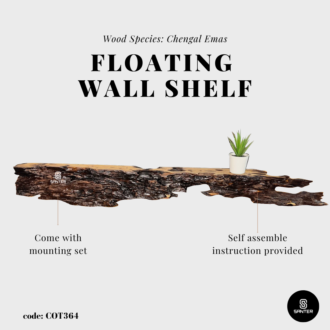 COT364. Chengal Emas Live Edge Floating Wall Shelf / Wall Art