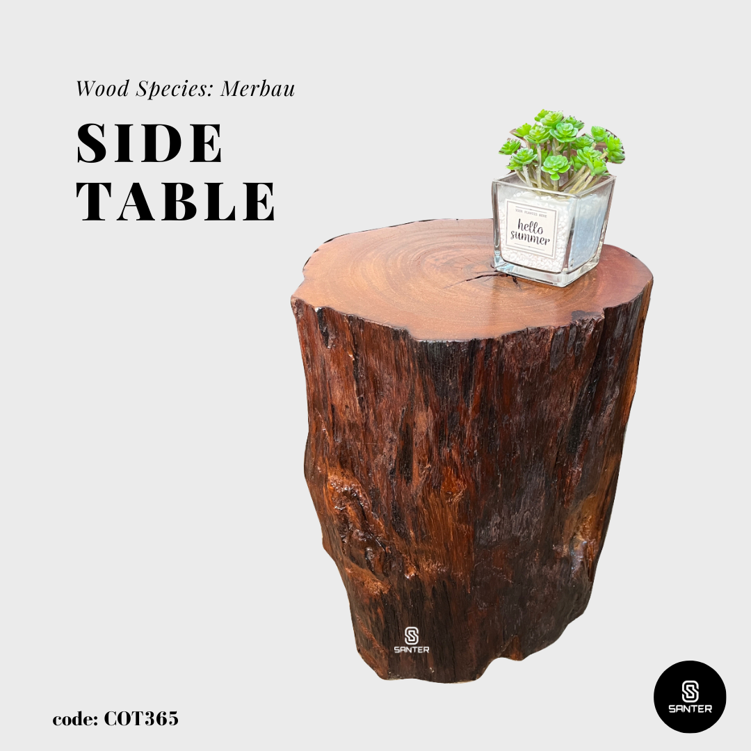 COT365. Merbau Artistic Wood Pedestal/ Stump/ Side Table/ Stool