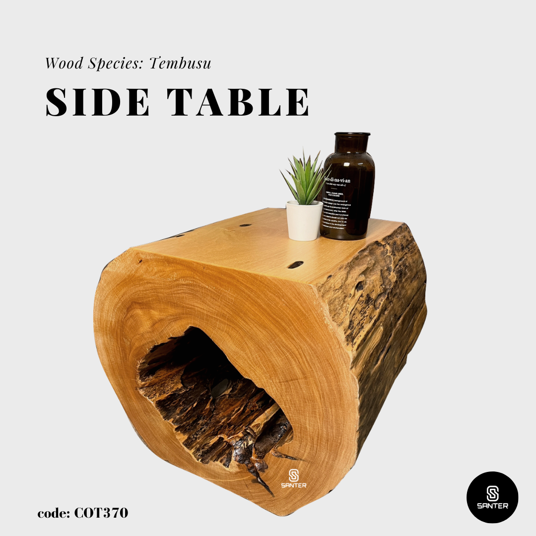 COT370. Tembusu Artistic Wood Pedestal/ Stump/ Side Table/ Stool