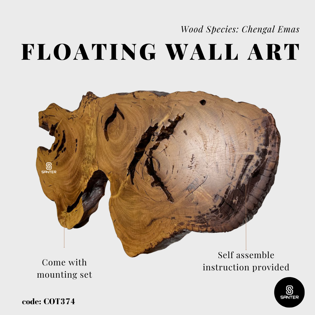 COT374. Chengal Emas Solid Wood Rustic Floating Wall Art