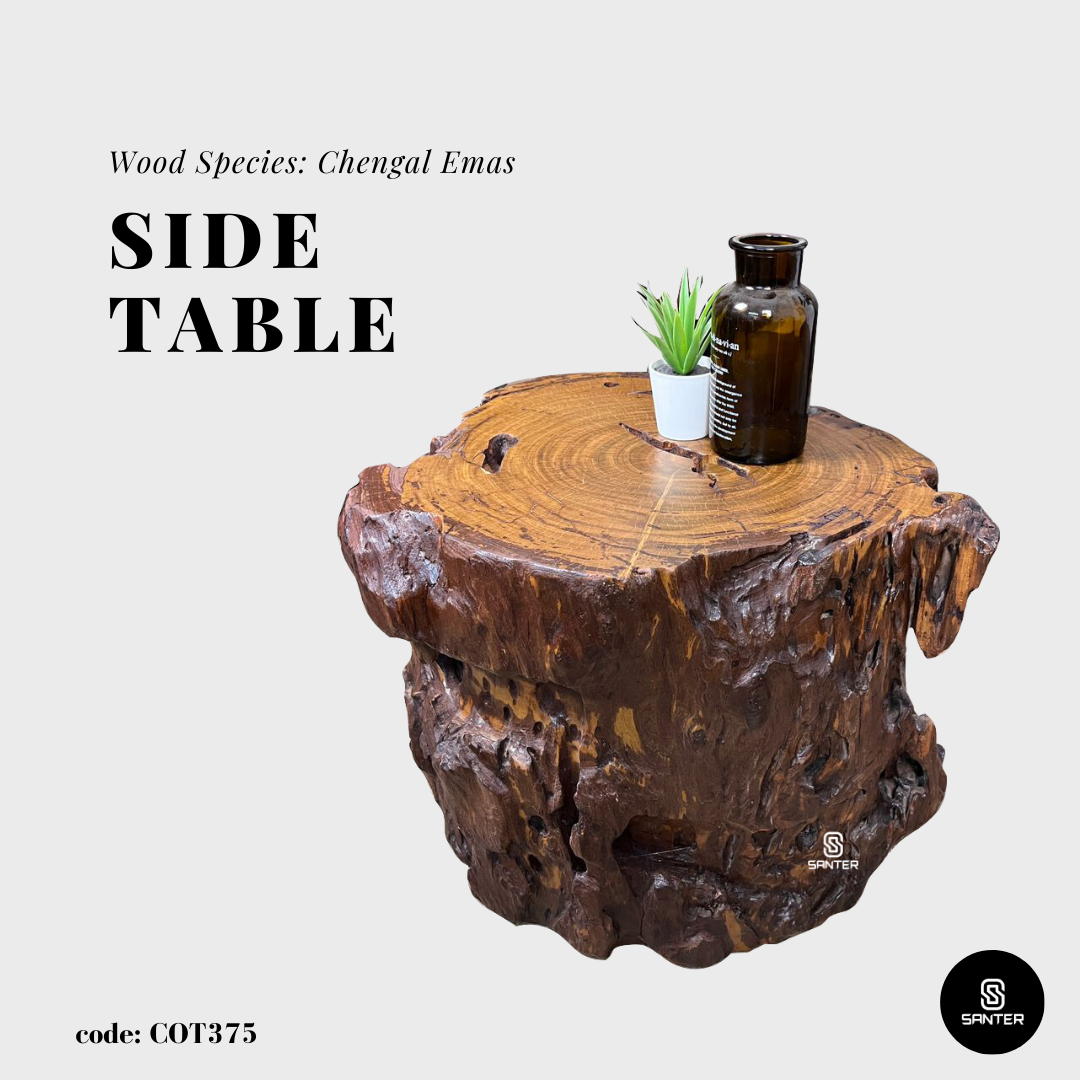 COT375. Chengal Emas Artistic Wood Pedestal/ Stump/ Side Table