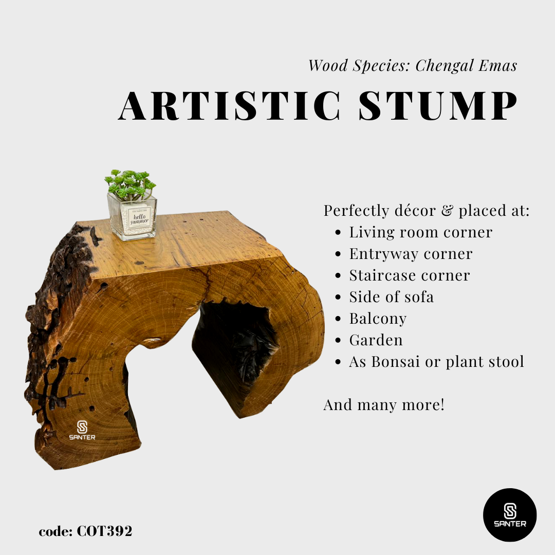 COT392. Chengal Emas Artistic Wood Pedestal/ Stump/ Side Table/ Stool