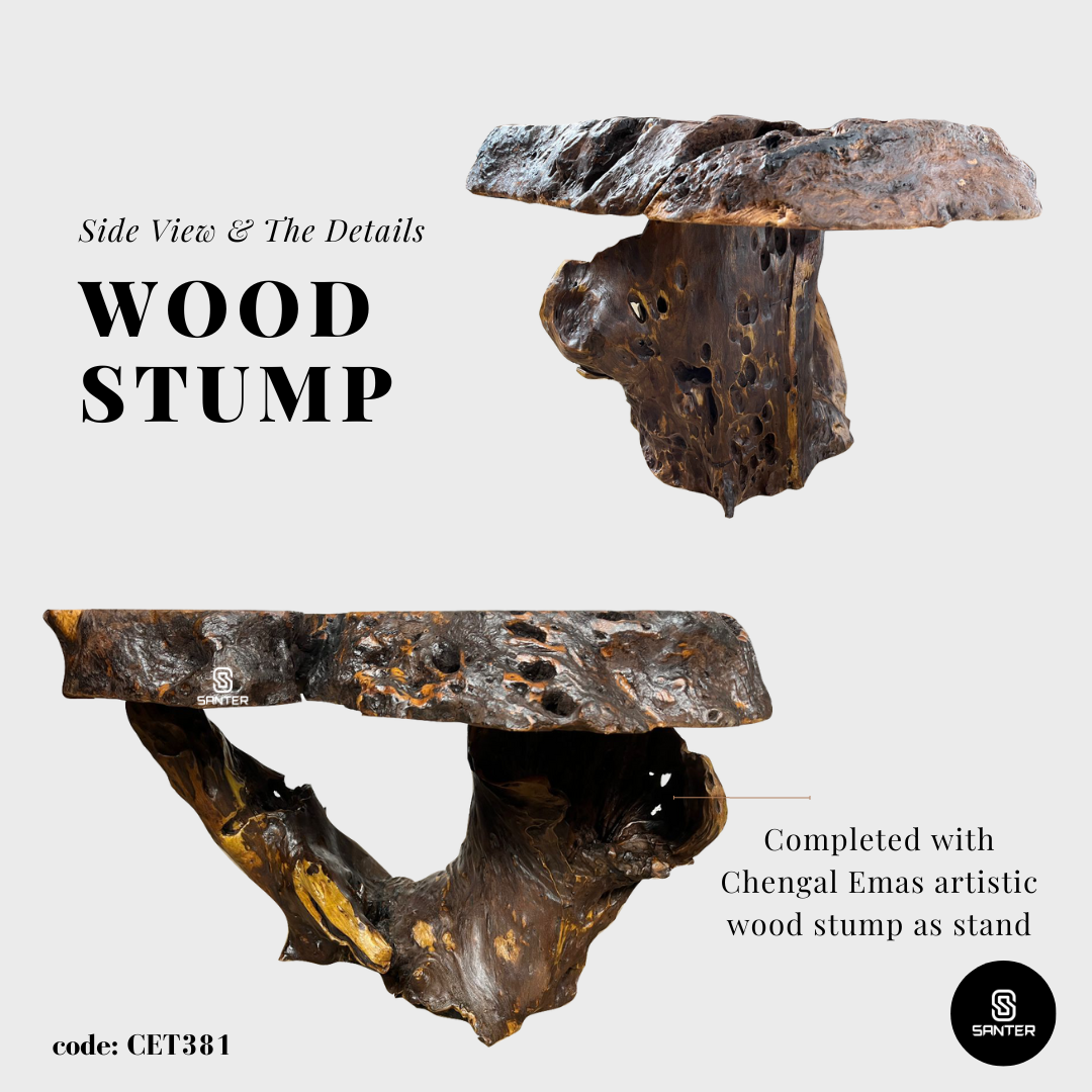 CET381. Chengal Emas Solid Wood Coffee Table/ Tea Table (Burl Wood)