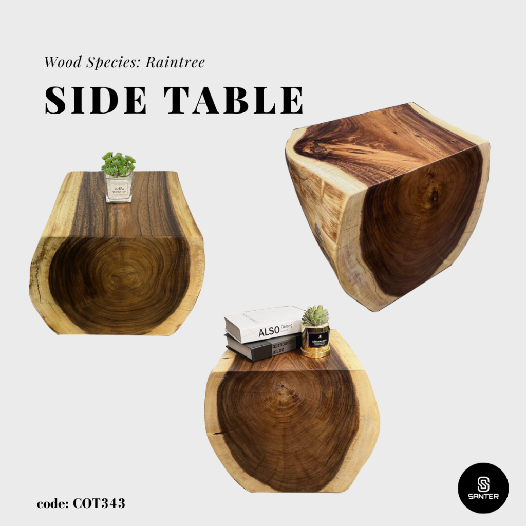 COT343. Raintree Artistic Wood Pedestal / Stump / Side Table