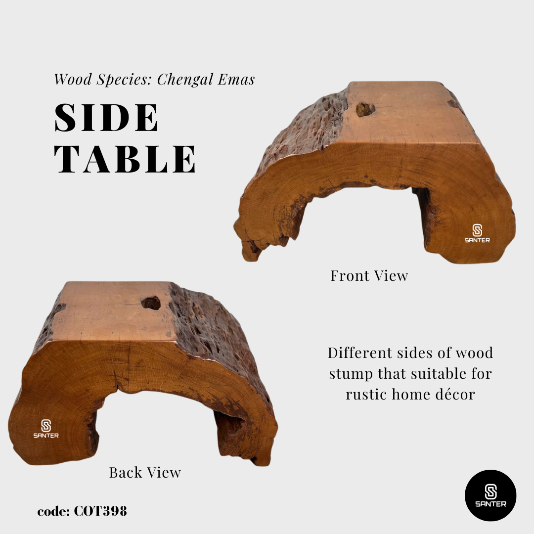 COT398. Chengal Emas Artistic Wood Pedestal/ Stump/ Side Table/ Stool