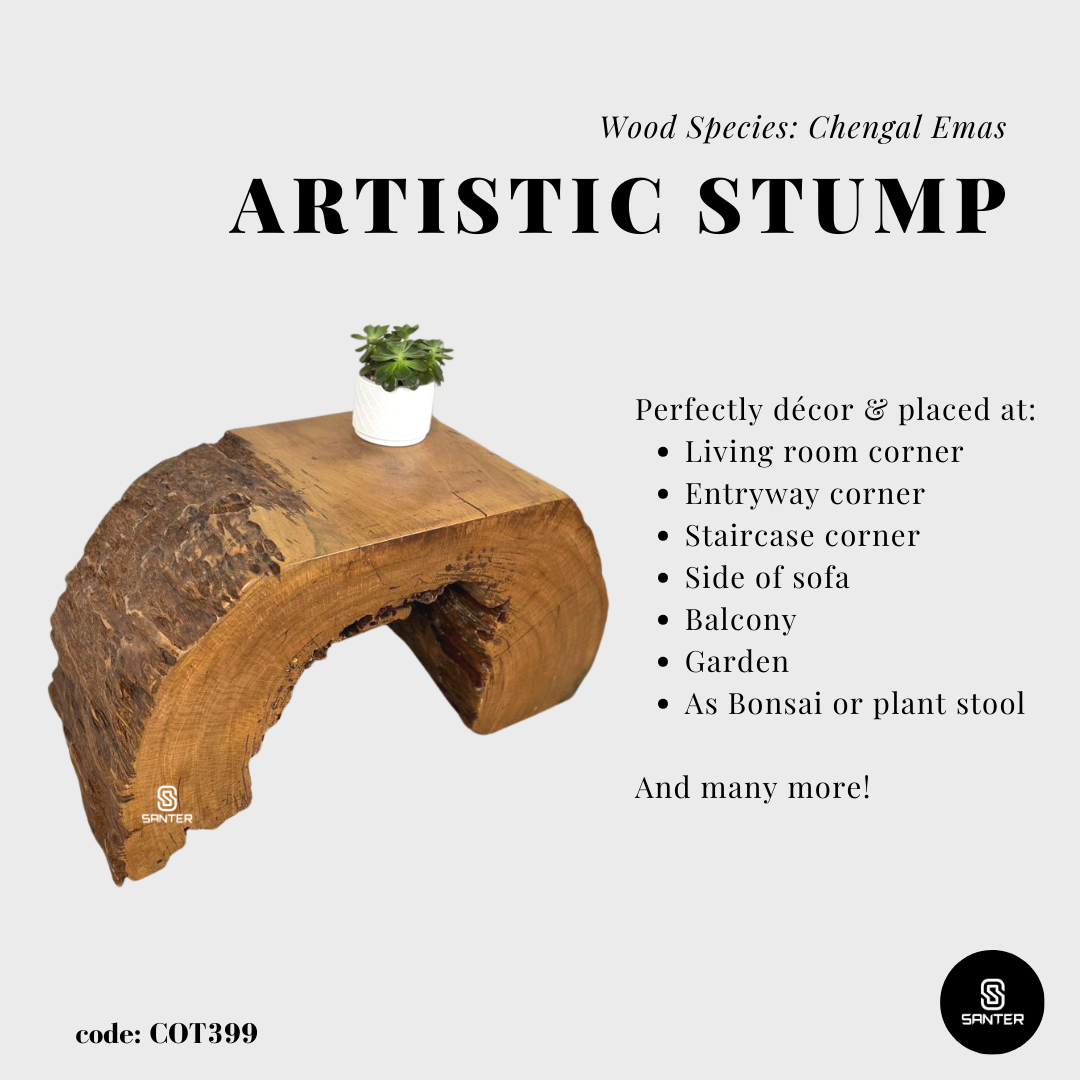 COT399. Chengal Emas Artistic Wood Pedestal/ Stump/ Side Table/ Stool